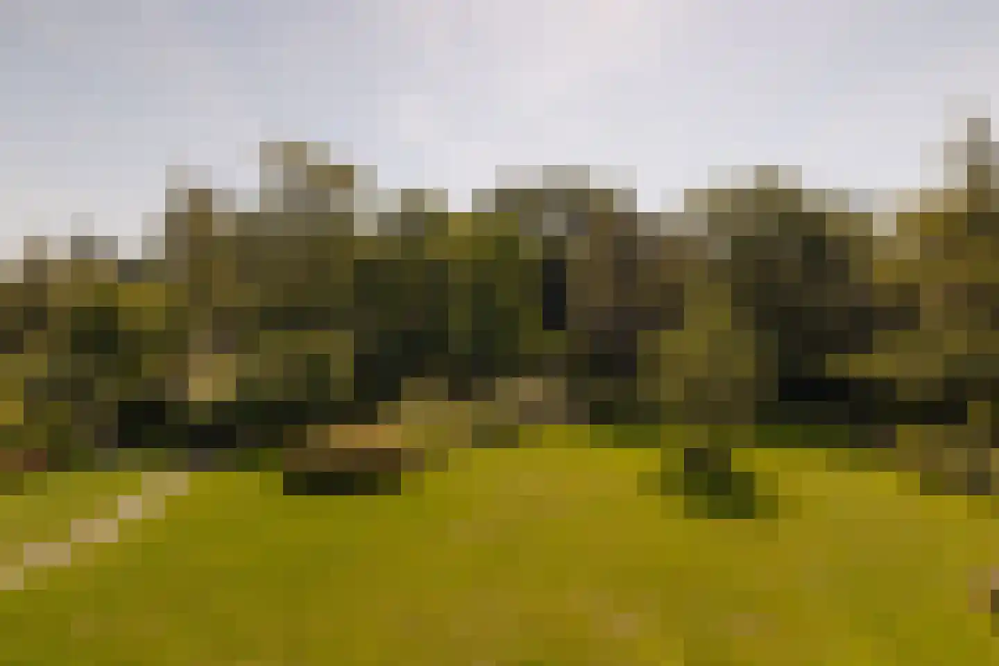 Middelweg 2 Den Haag thumbnail 55