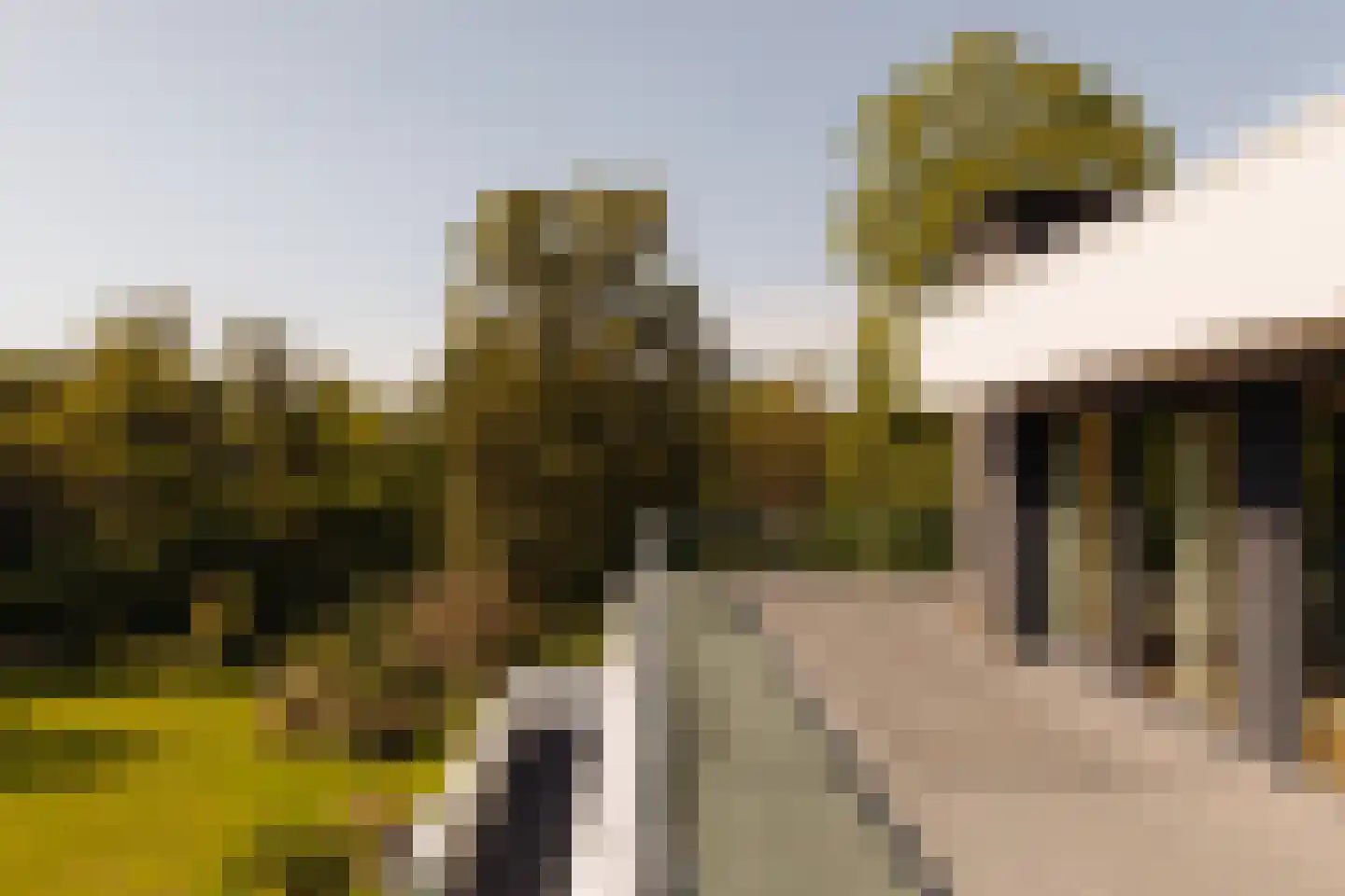 Middelweg 2 Den Haag thumbnail 61