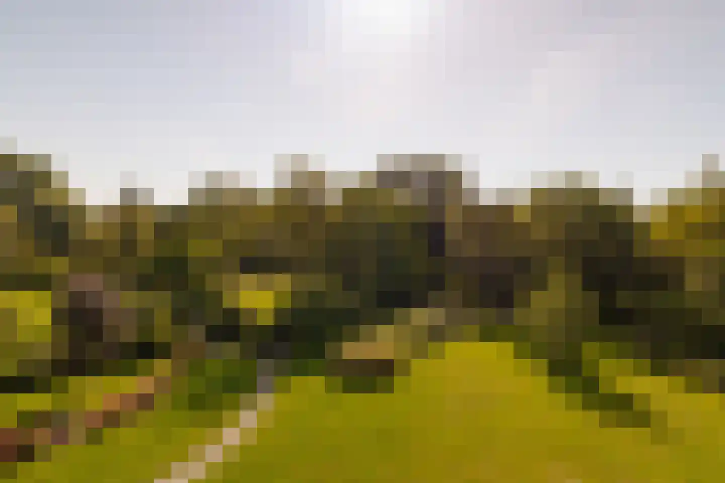 Middelweg 2 Den Haag thumbnail 64