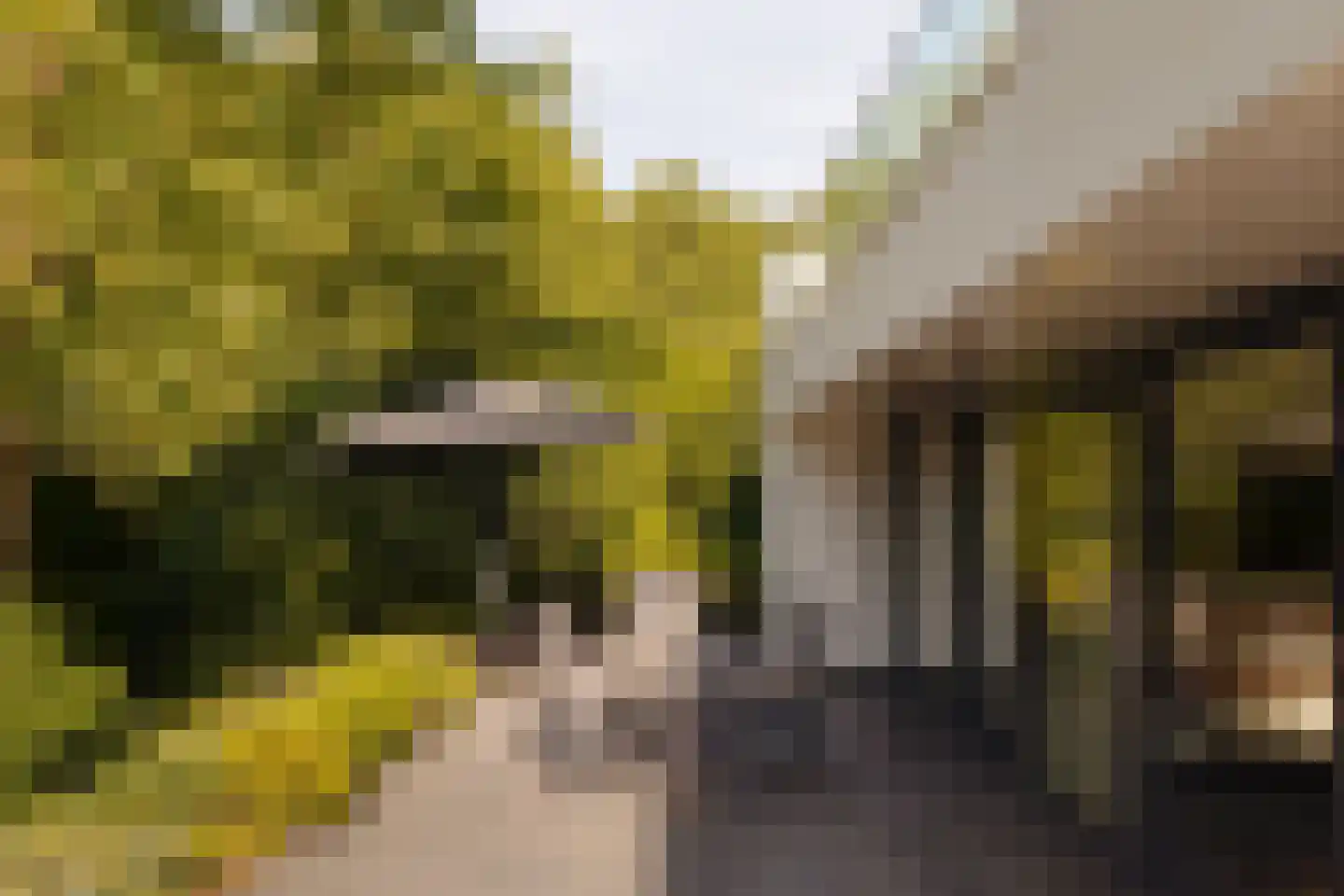 Middelweg 2 Den Haag thumbnail 69