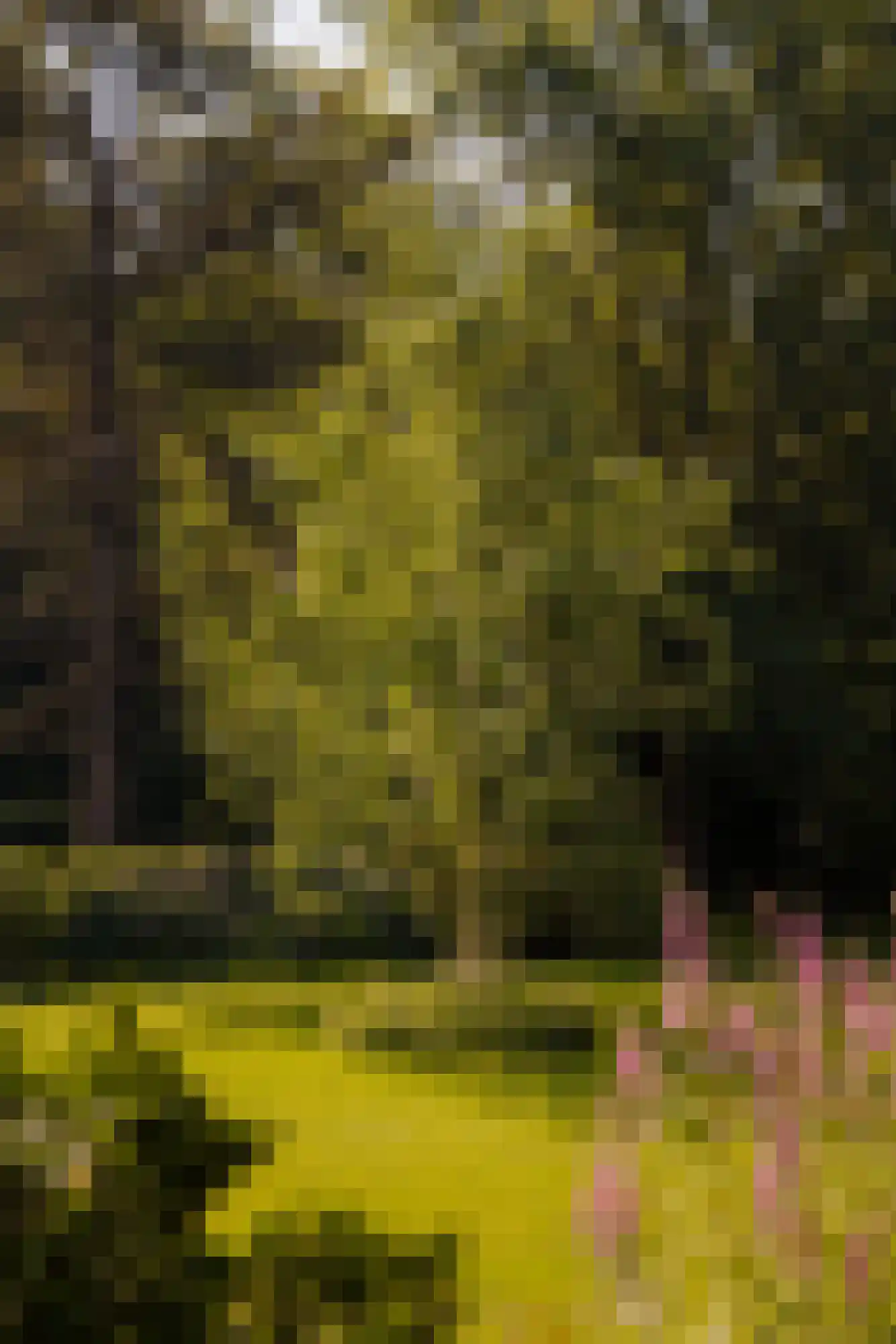 Middelweg 2 Den Haag thumbnail 81