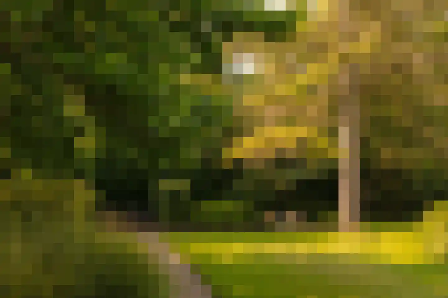 Middelweg 2 Den Haag thumbnail 84