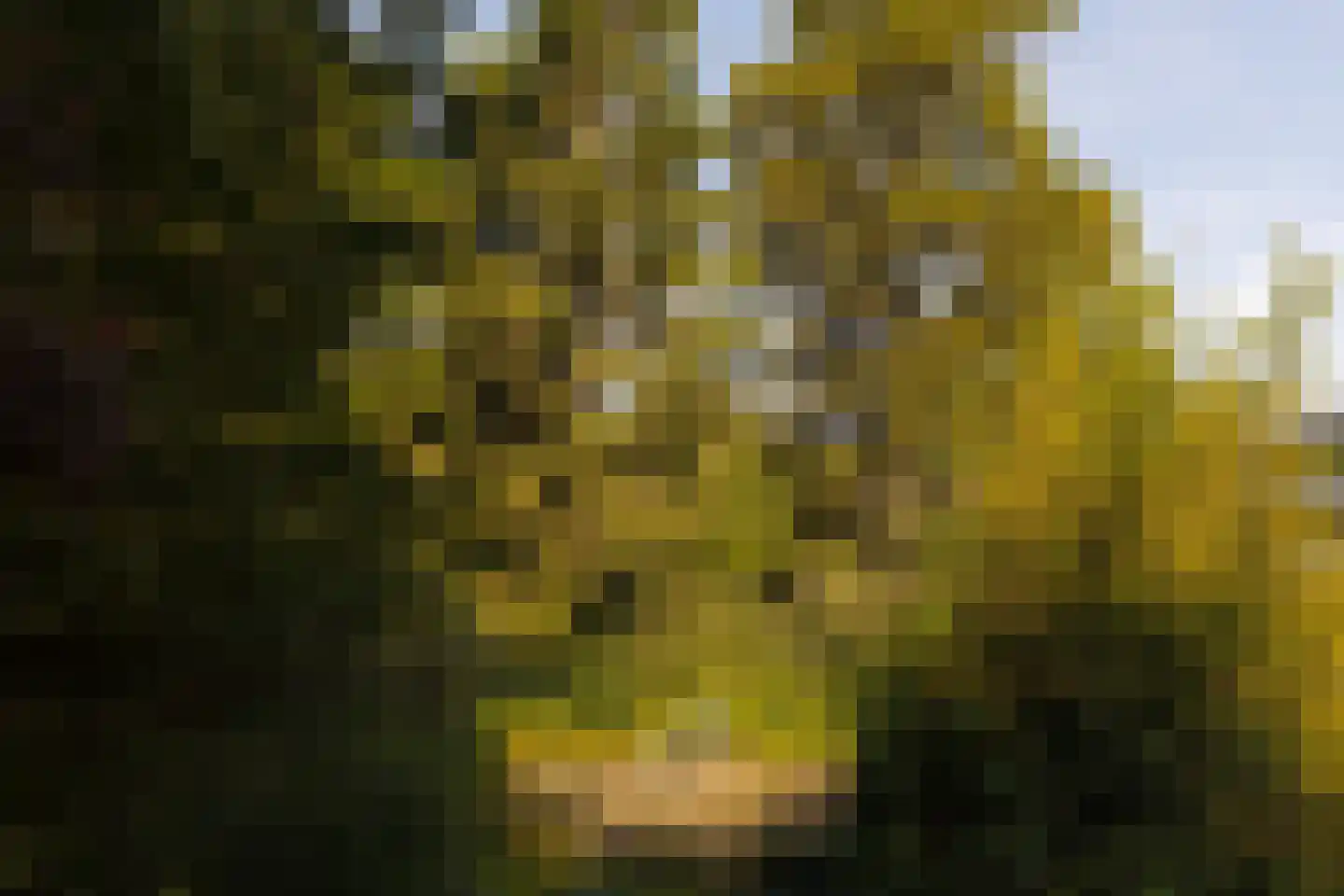 Middelweg 2 Den Haag thumbnail 85