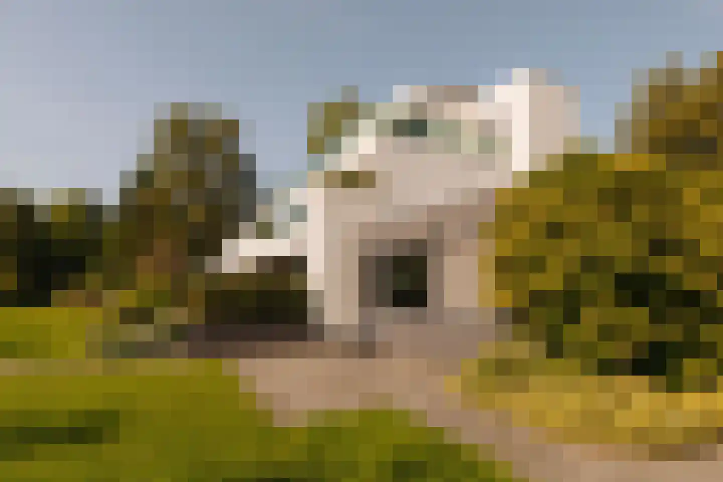 Middelweg 2 Den Haag thumbnail 88