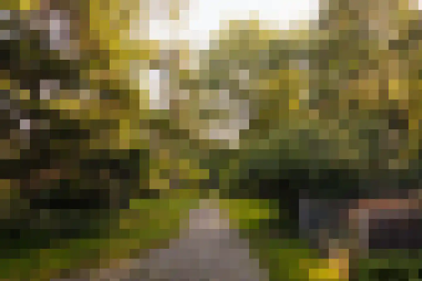 Middelweg 2 Den Haag thumbnail 90