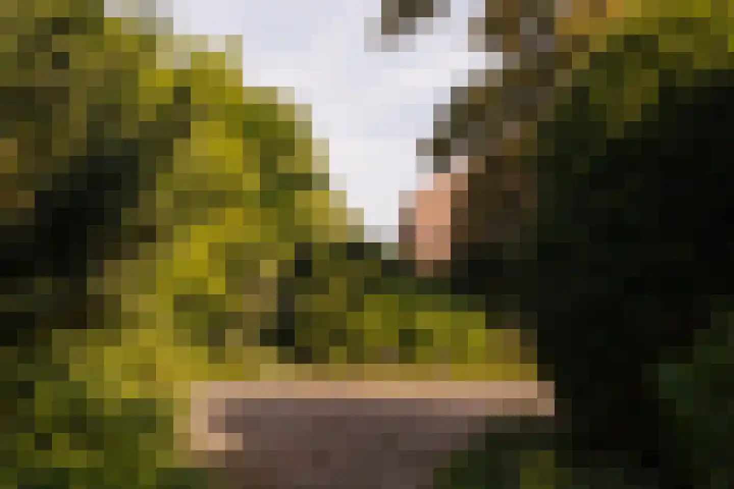 Middelweg 2 Den Haag thumbnail 92