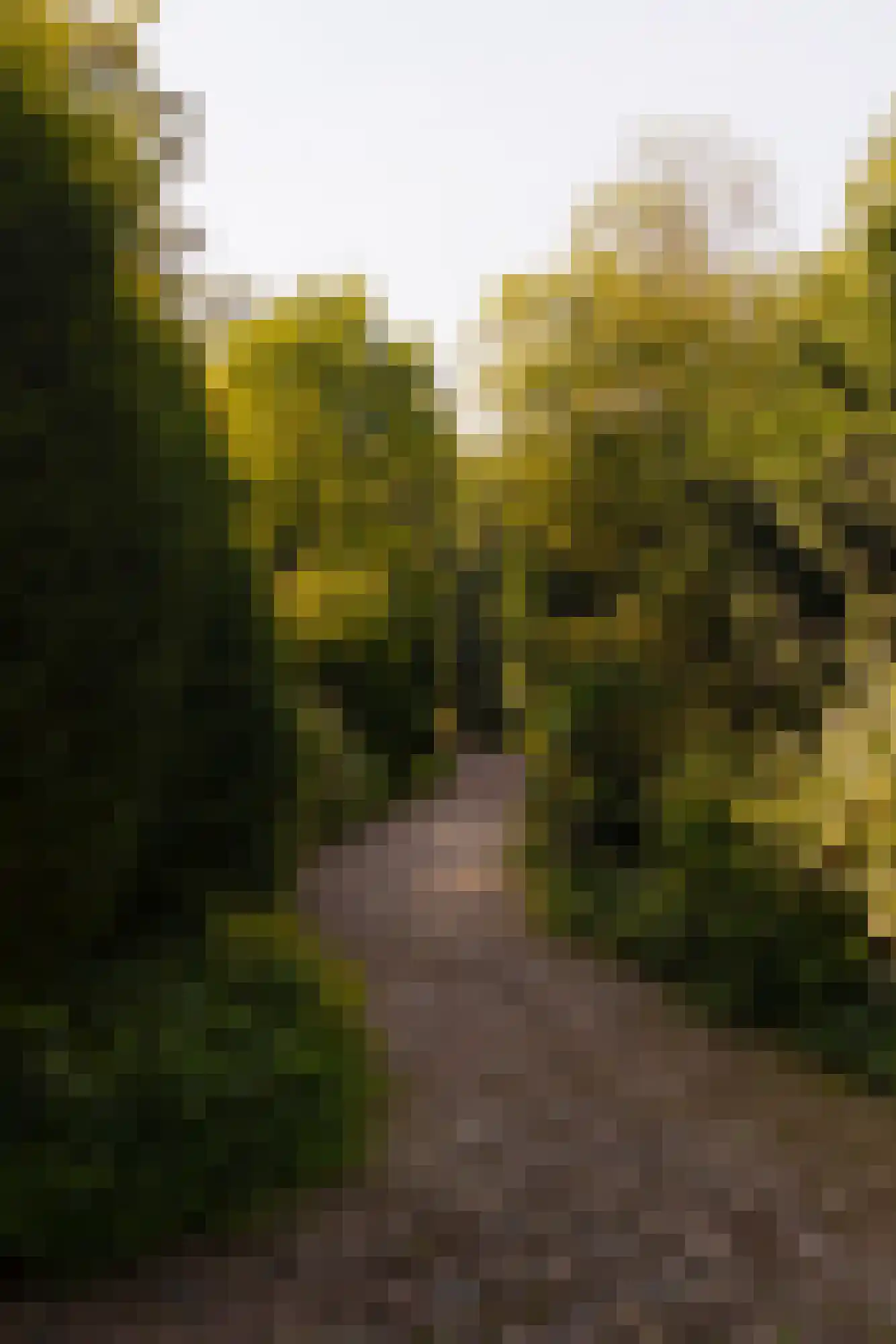 Middelweg 2 Den Haag thumbnail 93