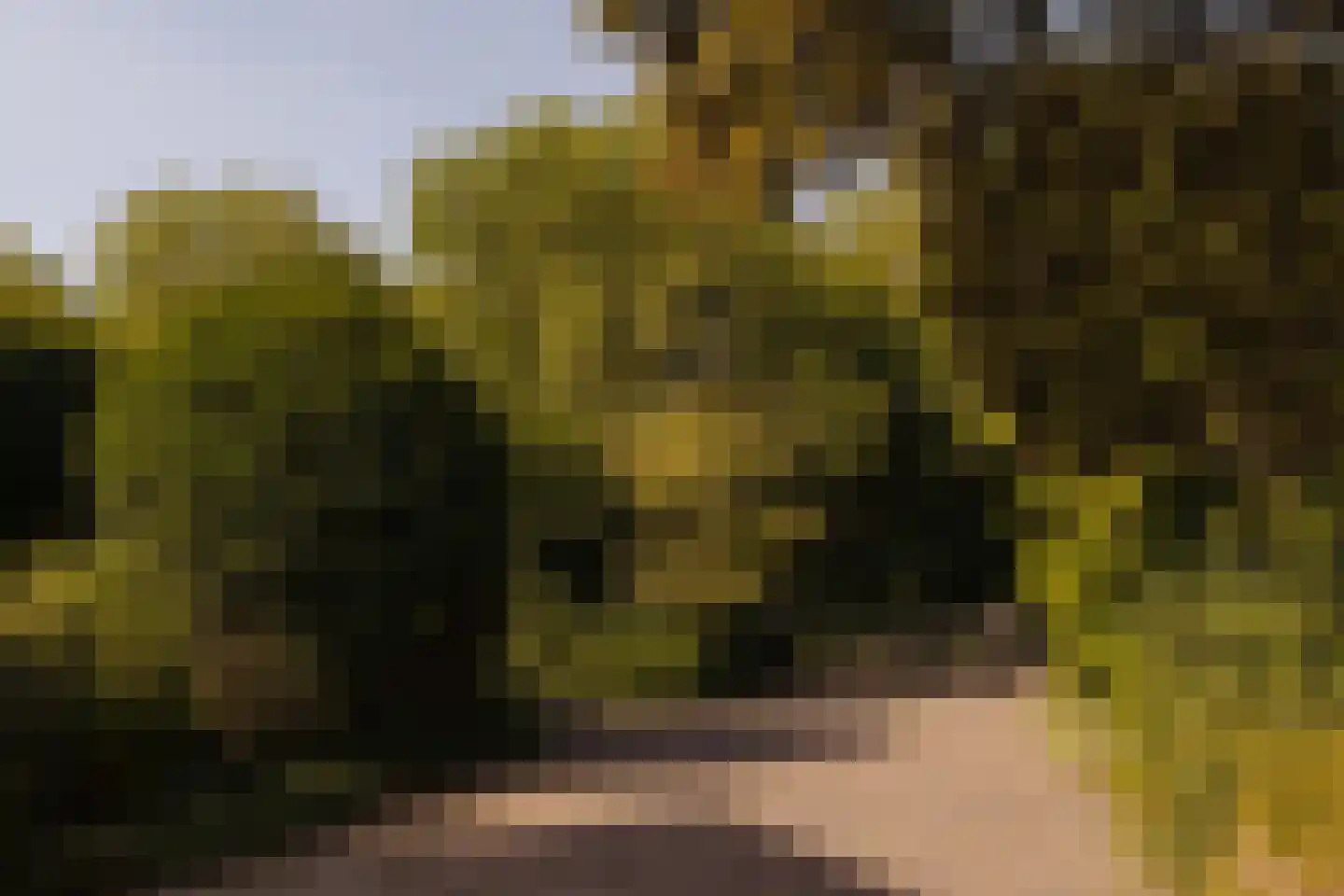 Middelweg 2 Den Haag thumbnail 99