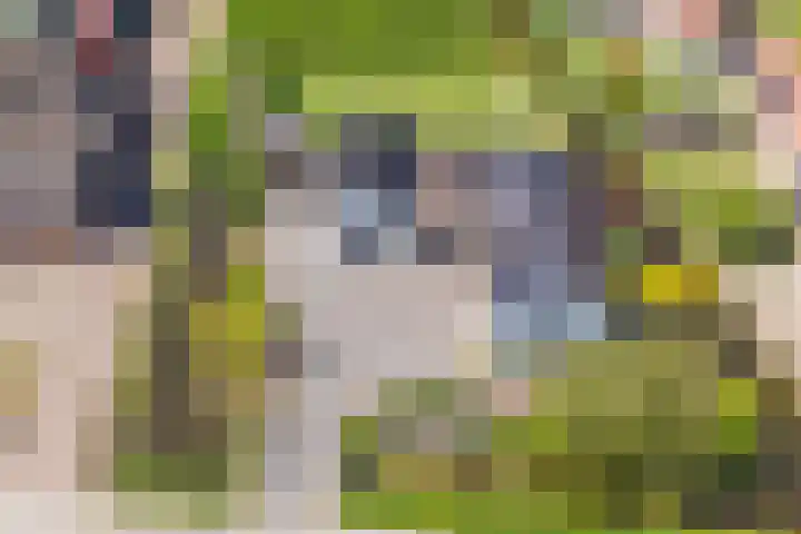 Middelweg 2 Opmeer thumbnail 53