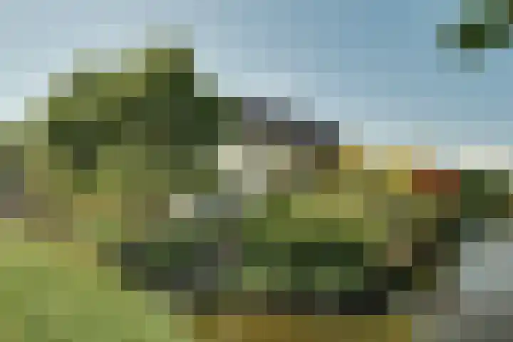 Middelweg 2 Opmeer thumbnail 67