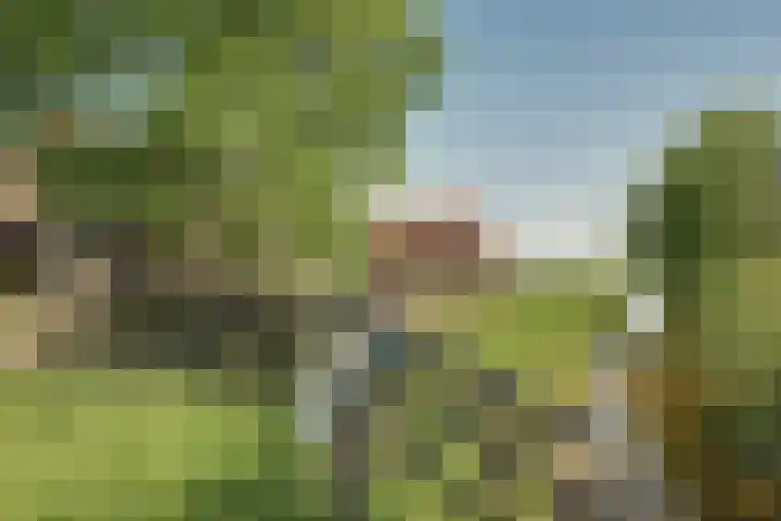 Middelweg 2 Opmeer thumbnail 68