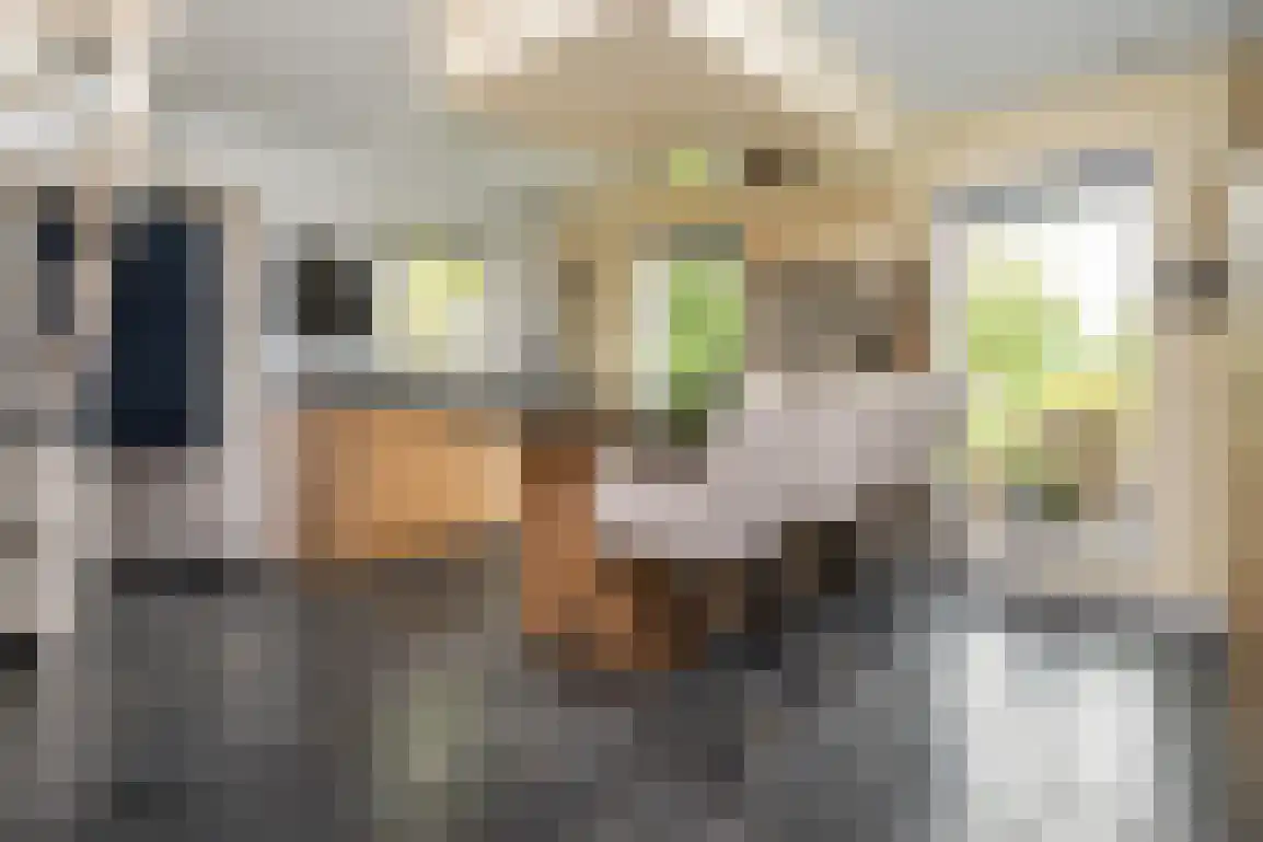 Middelweg 20 Rockanje thumbnail 17