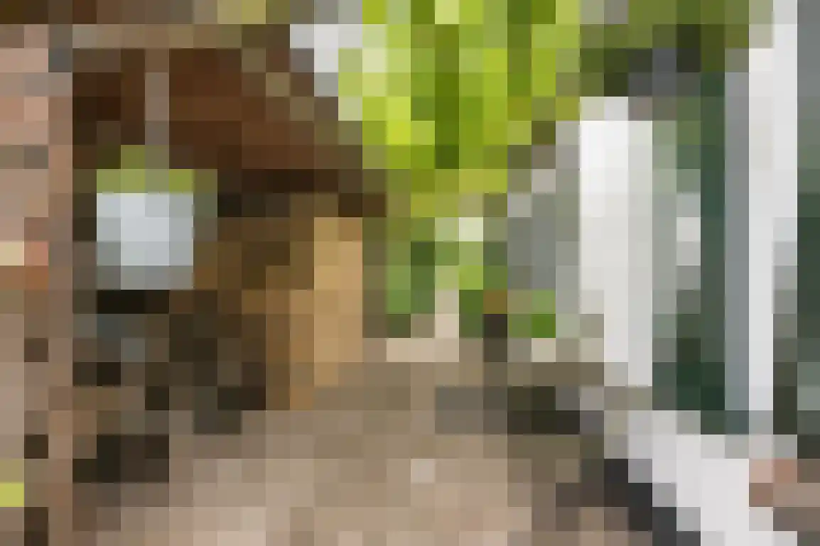 Middelweg 20 Rockanje thumbnail 41