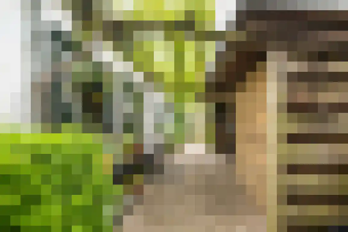 Middelweg 20 Rockanje thumbnail 42