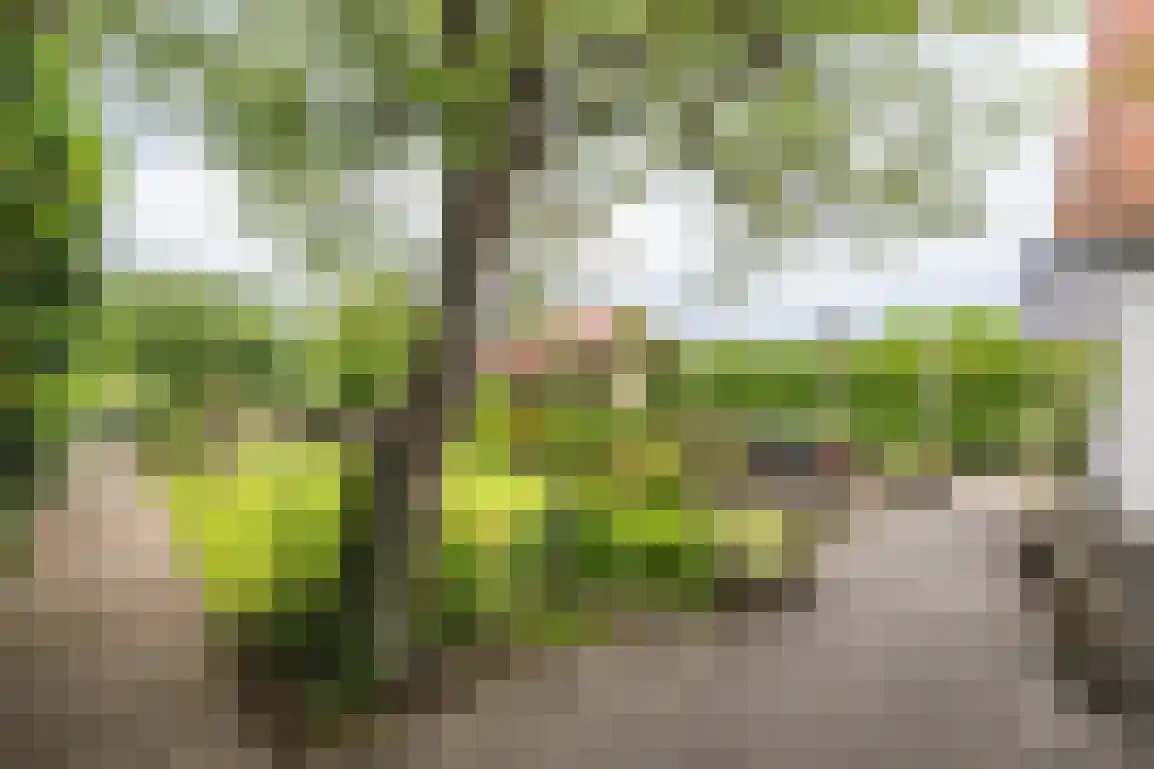 Middelweg 20 Rockanje thumbnail 45