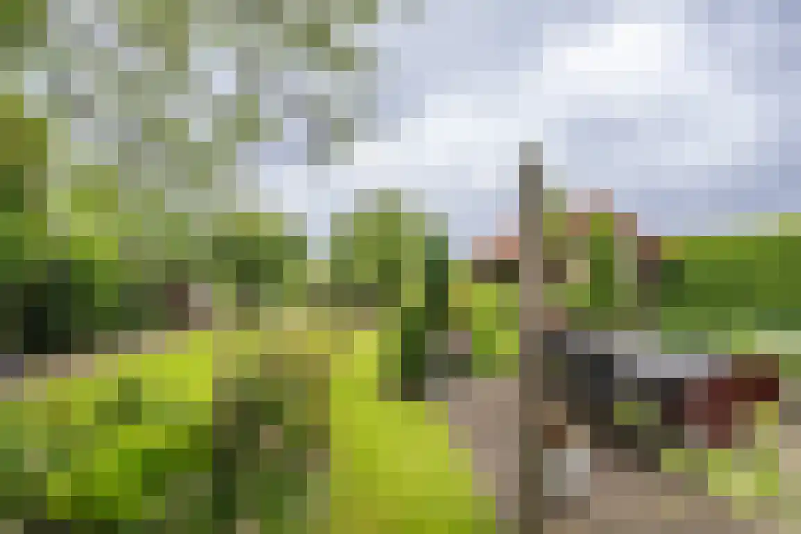Middelweg 20 Rockanje thumbnail 46