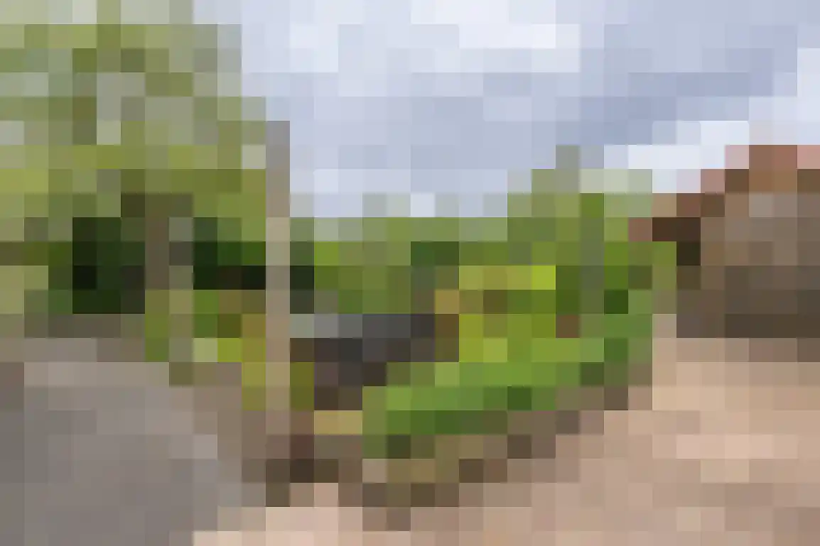 Middelweg 20 Rockanje thumbnail 47