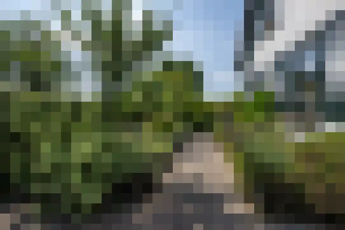 Middelweg 20 Rockanje thumbnail 5