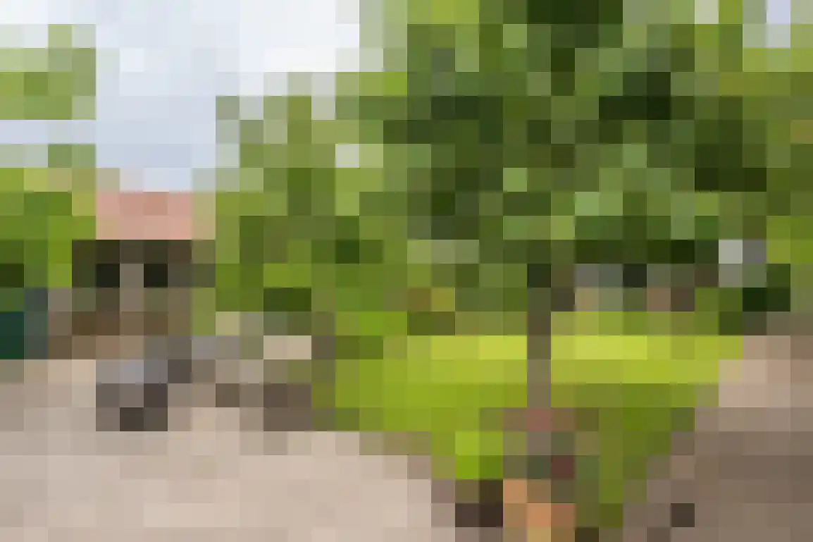 Middelweg 20 Rockanje thumbnail 50