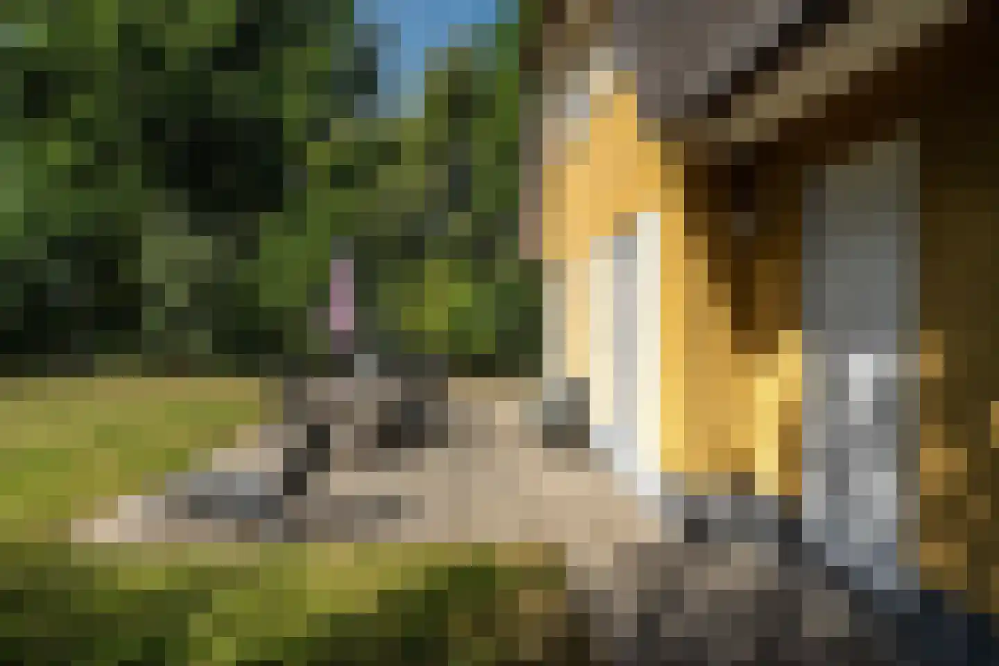 Middelweg 21 A Stavoren thumbnail 40