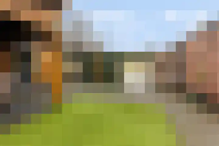 Middelweg 25 't Harde thumbnail 32