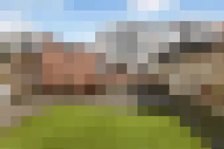 Middelweg 25 't Harde thumbnail 38