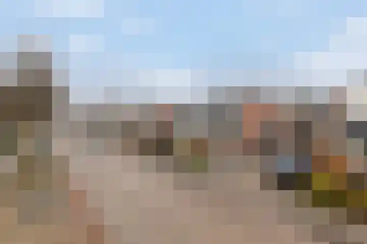 Middelweg 25 't Harde thumbnail 4