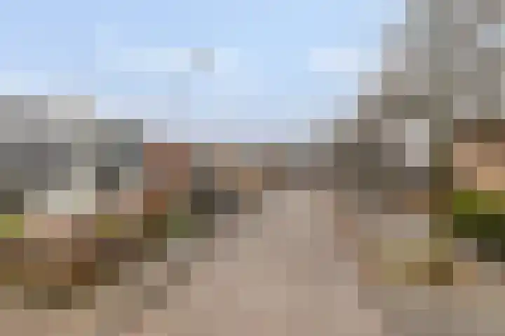 Middelweg 25 't Harde thumbnail 5