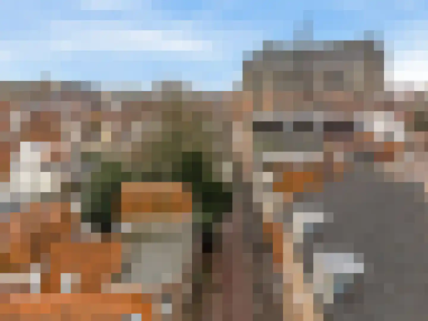 Middelweg 28 Leiden thumbnail 25