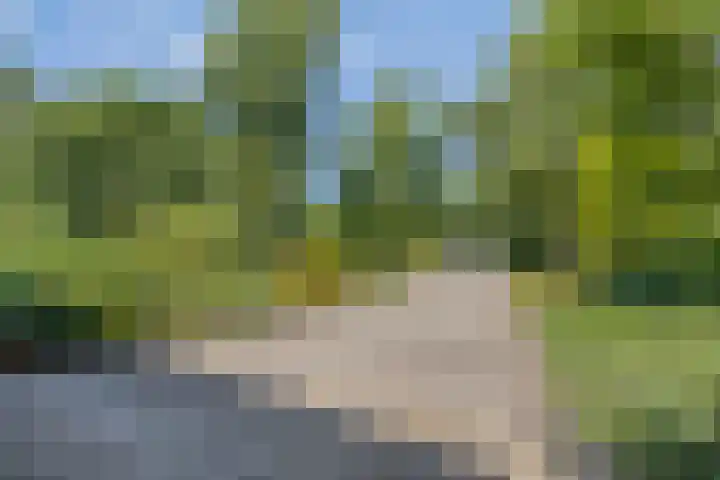 Middelweg 3 a Rockanje thumbnail 10