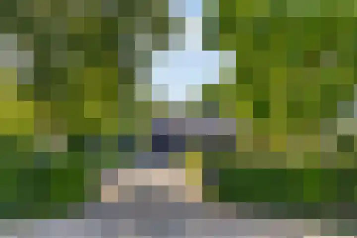 Middelweg 3 a Rockanje thumbnail 4