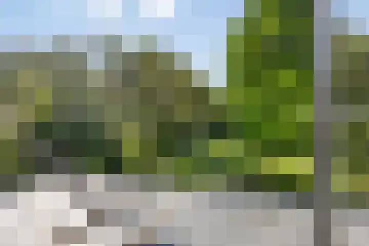 Middelweg 3 a Rockanje thumbnail 41