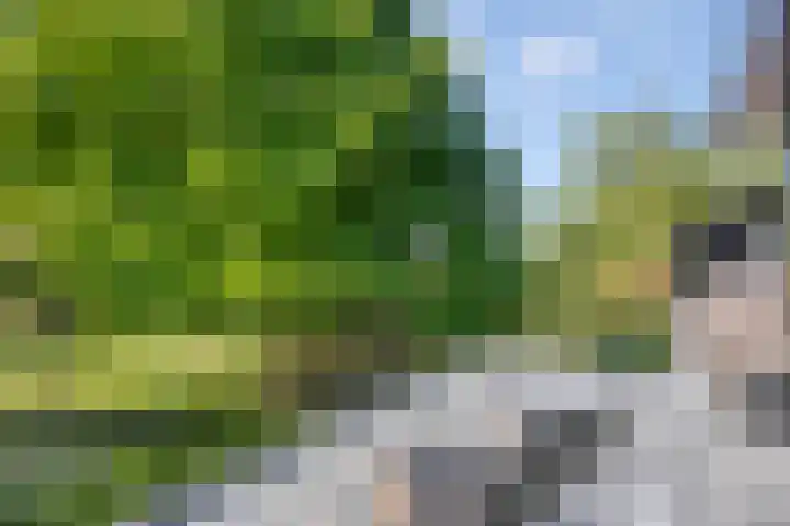 Middelweg 3 a Rockanje thumbnail 43