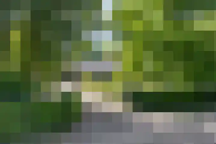 Middelweg 3 a Rockanje thumbnail 5