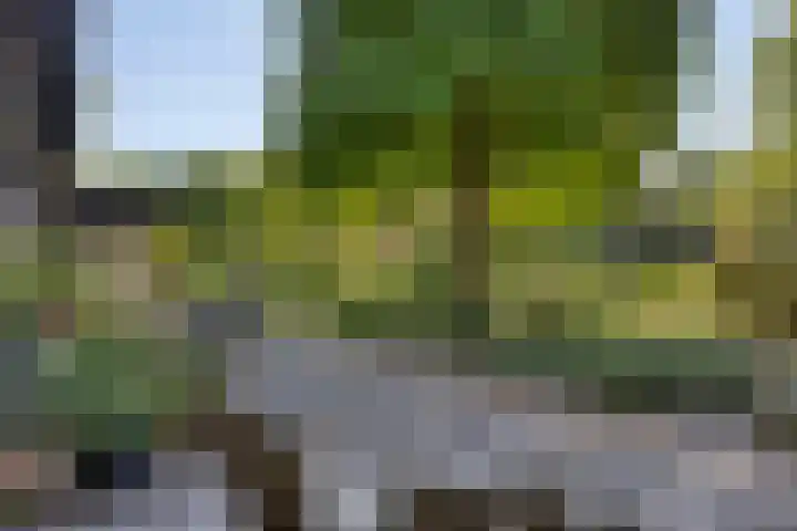Middelweg 3 a Rockanje thumbnail 51