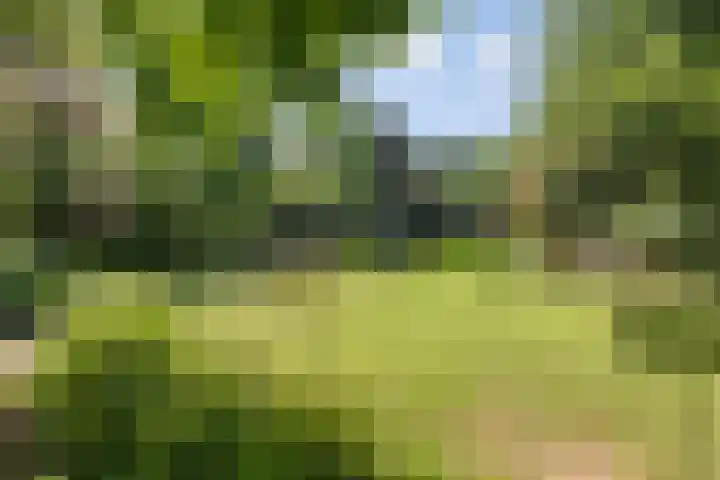 Middelweg 3 a Rockanje thumbnail 52