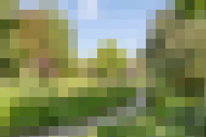 Middelweg 3 a Rockanje thumbnail 57