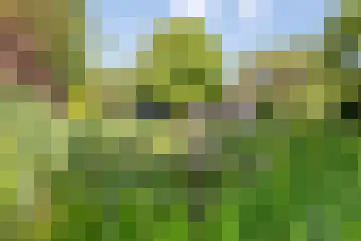 Middelweg 3 a Rockanje thumbnail 58