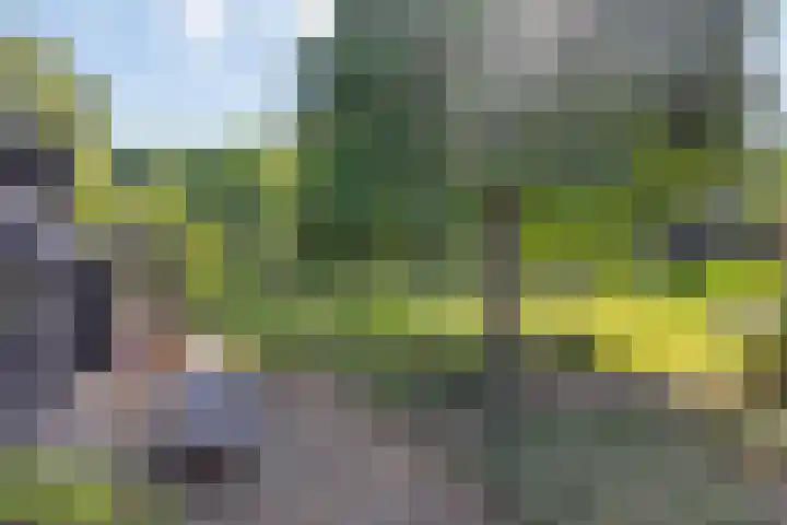 Middelweg 3 a Rockanje thumbnail 61