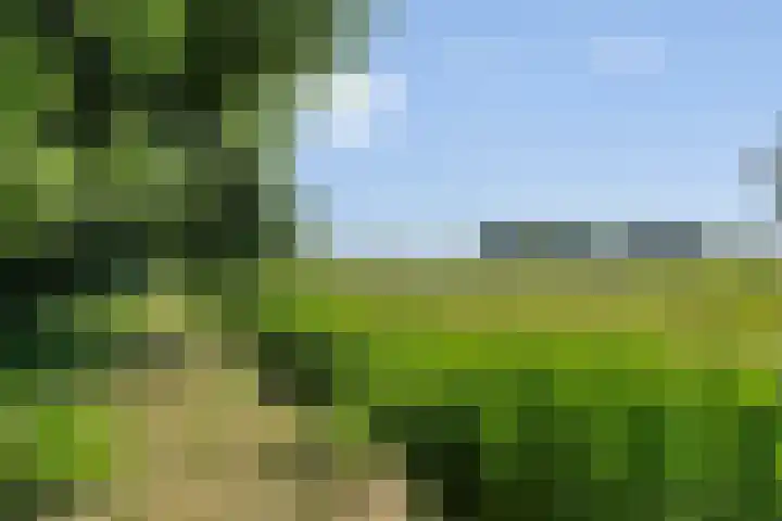 Middelweg 3 a Rockanje thumbnail 62