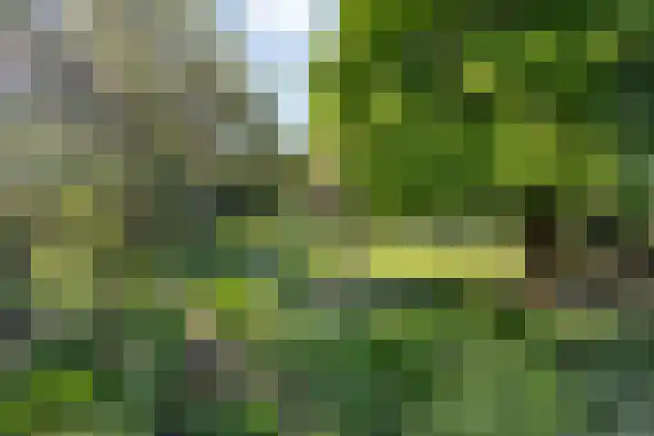 Middelweg 3 a Rockanje thumbnail 63