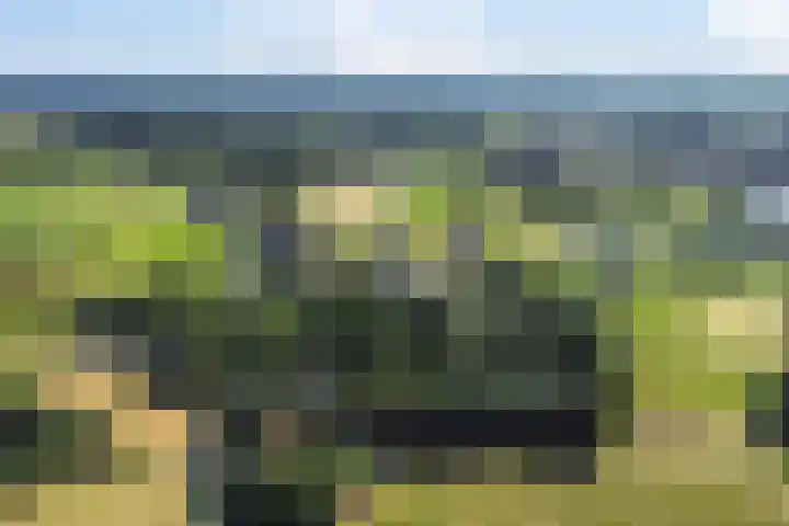 Middelweg 3 a Rockanje thumbnail 66