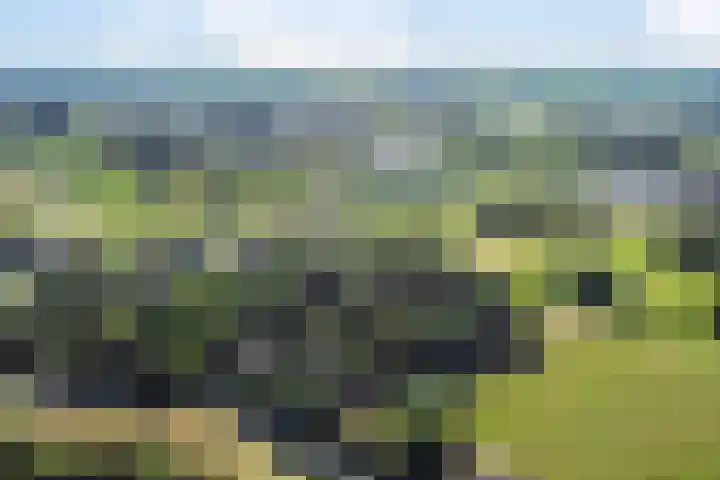 Middelweg 3 a Rockanje thumbnail 67