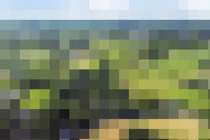 Middelweg 3 a Rockanje thumbnail 68