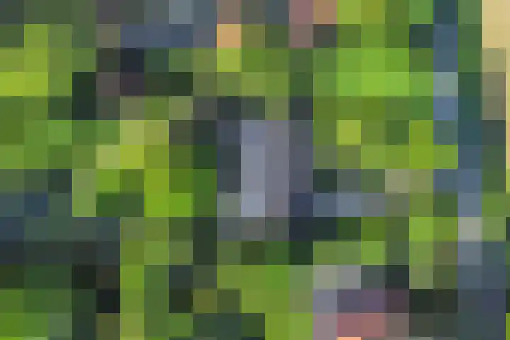 Middelweg 3 a Rockanje thumbnail 69