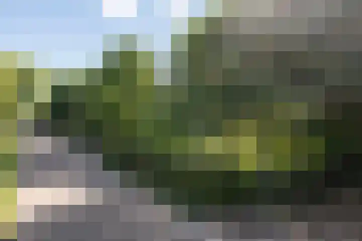 Middelweg 3 a Rockanje thumbnail 7