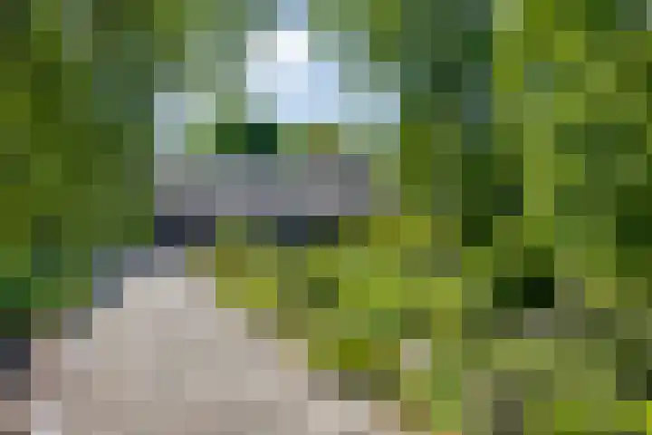 Middelweg 3 a Rockanje thumbnail 9