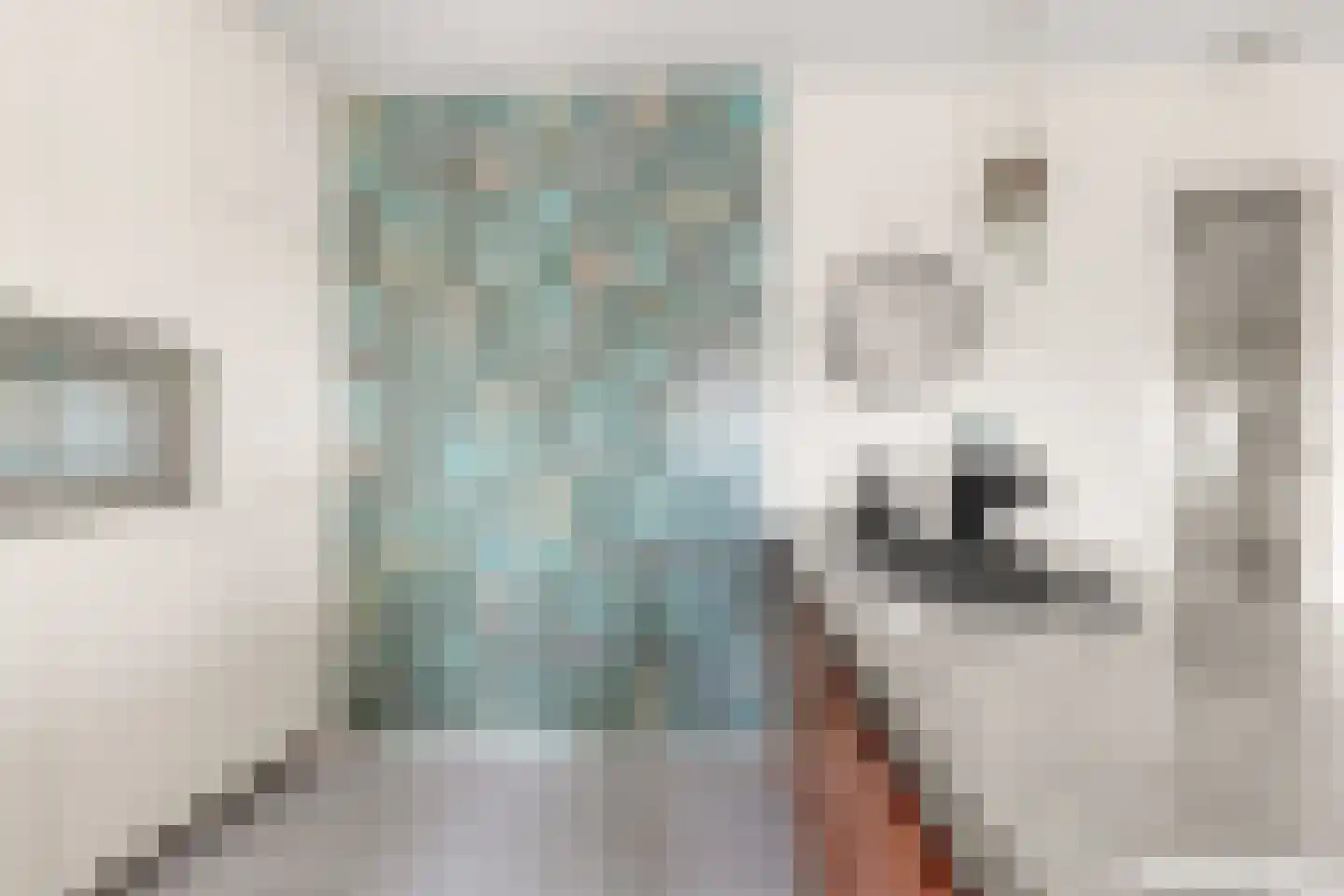 Middelweg 3 c Uitgeest thumbnail 18