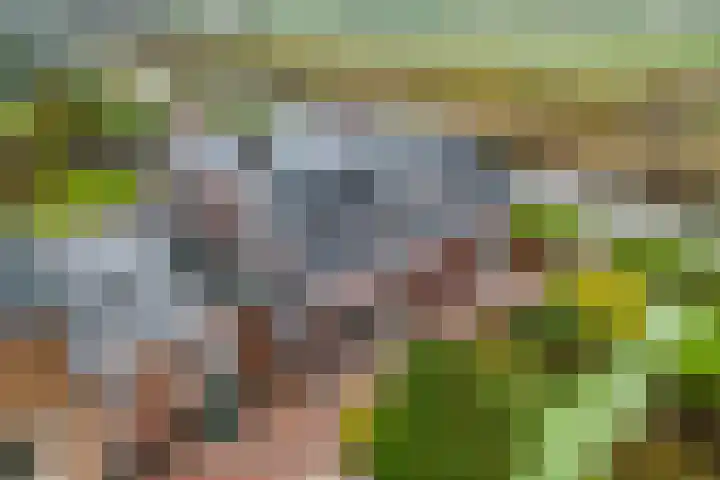 Middelweg 3 Reeuwijk thumbnail 4