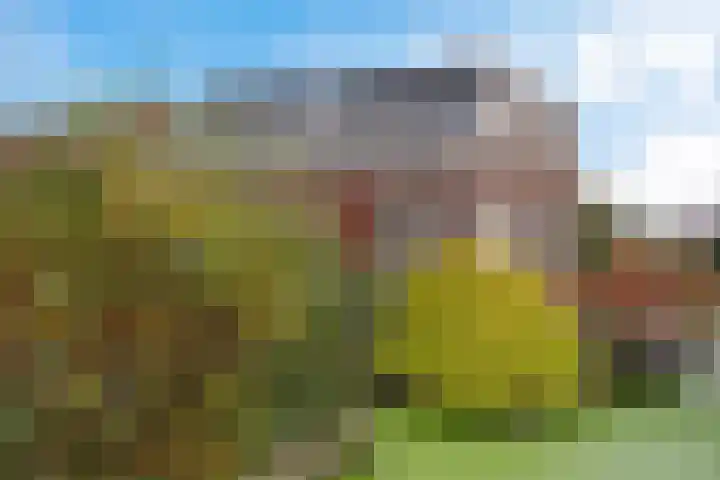Middelweg 3 Reeuwijk thumbnail 5